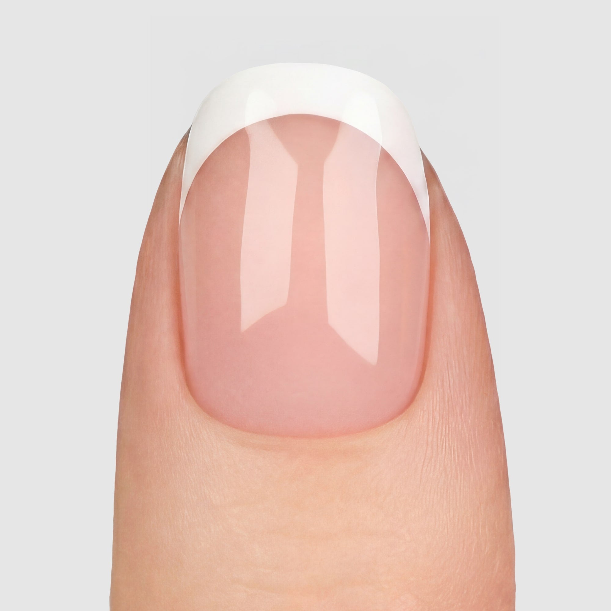 French Tip Squoval Short press-on lösnaglar i kort squovalform med vit fransk tipp och naturlig bas