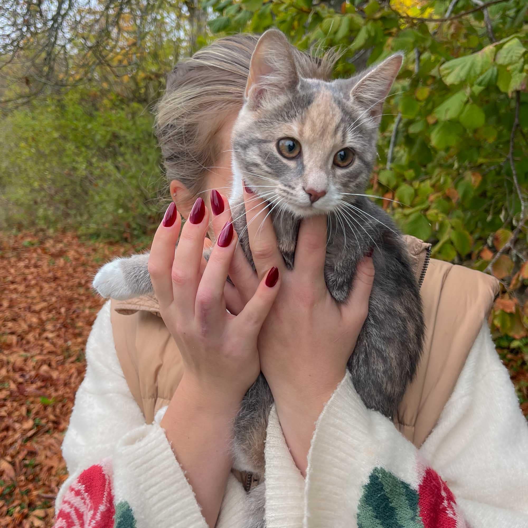 Cat Eye Ruby Almond press-on lösnaglar i almondform med djup röd nyans och skimrande cat eye-effekt
